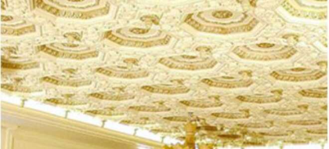 Гипсовые потолки: инструкция по установке потолочной плитки, лепнины из гипса, дизайн, видео, фото