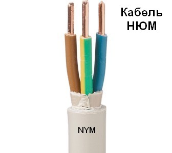 nym